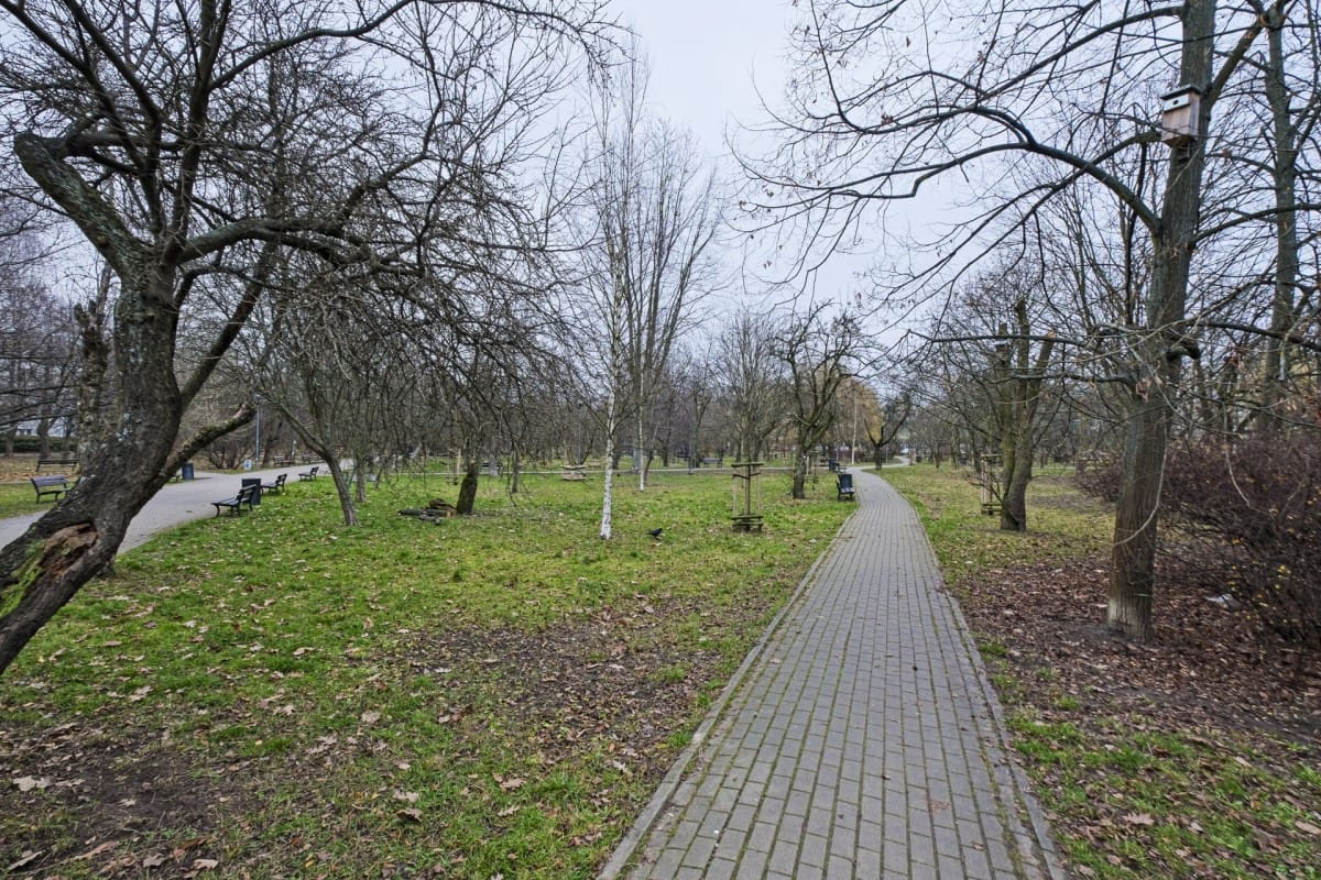 Mieszkanie 2 pokojowe na Wynajem