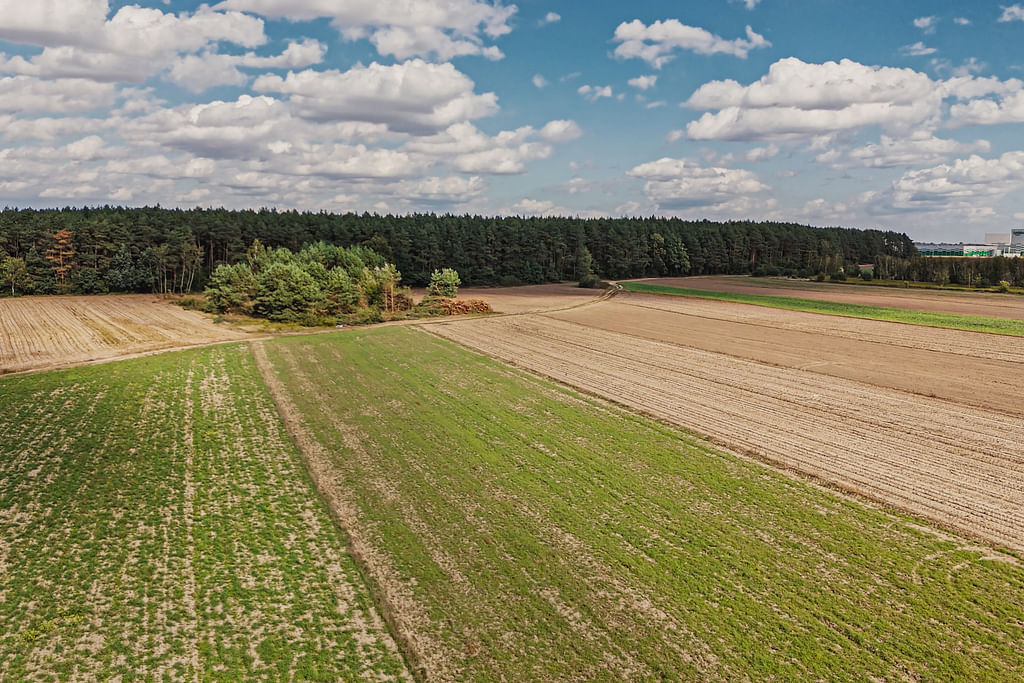 Działka  pokojowe na Sprzedaż