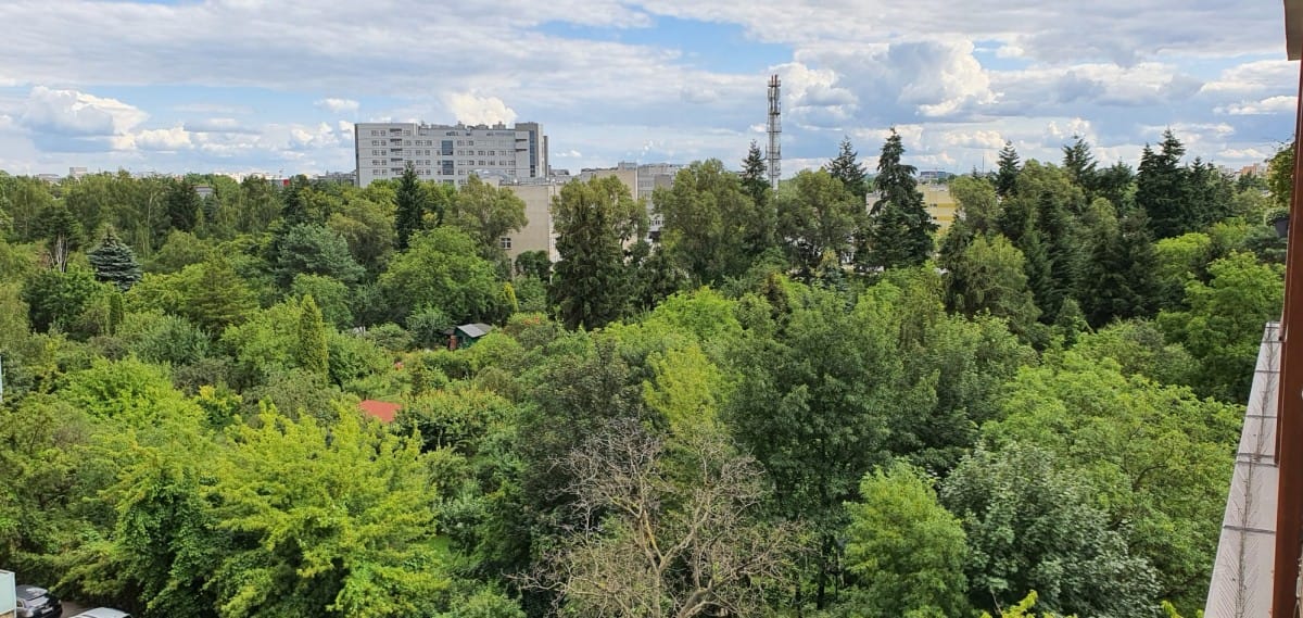 Mieszkanie 2 pokojowe na Wynajem