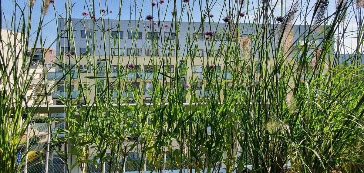 Mieszkanie 2 pokojowe na Wynajem