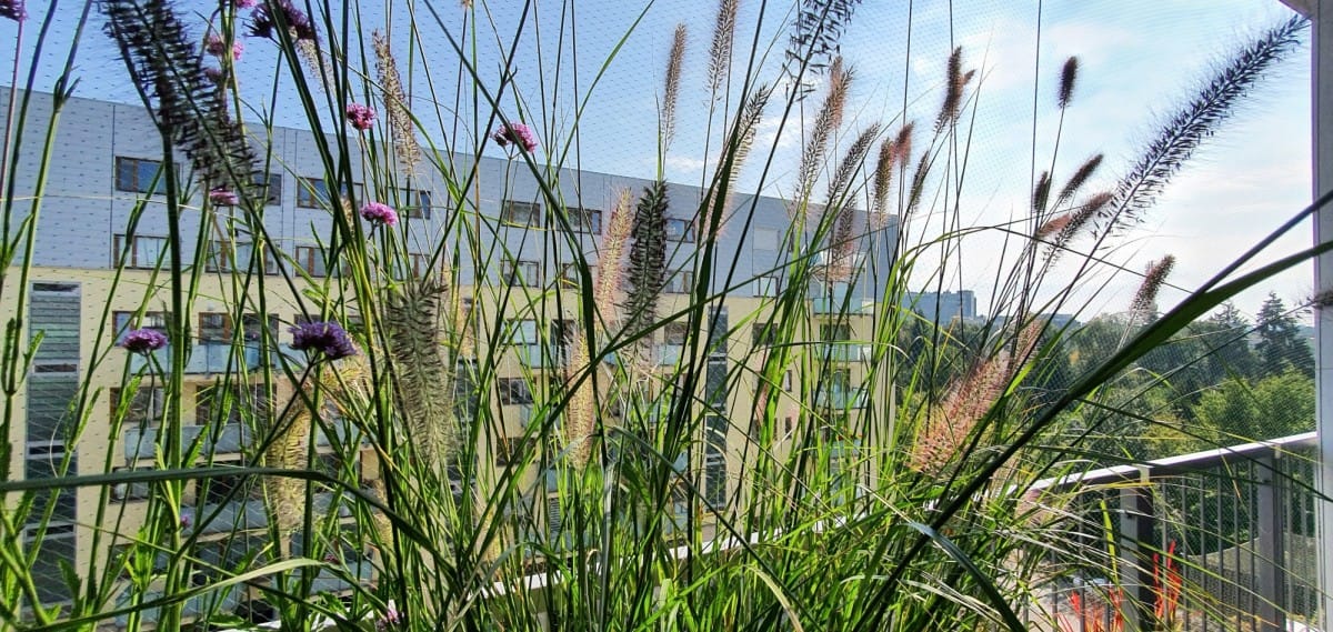 Mieszkanie 2 pokojowe na Wynajem