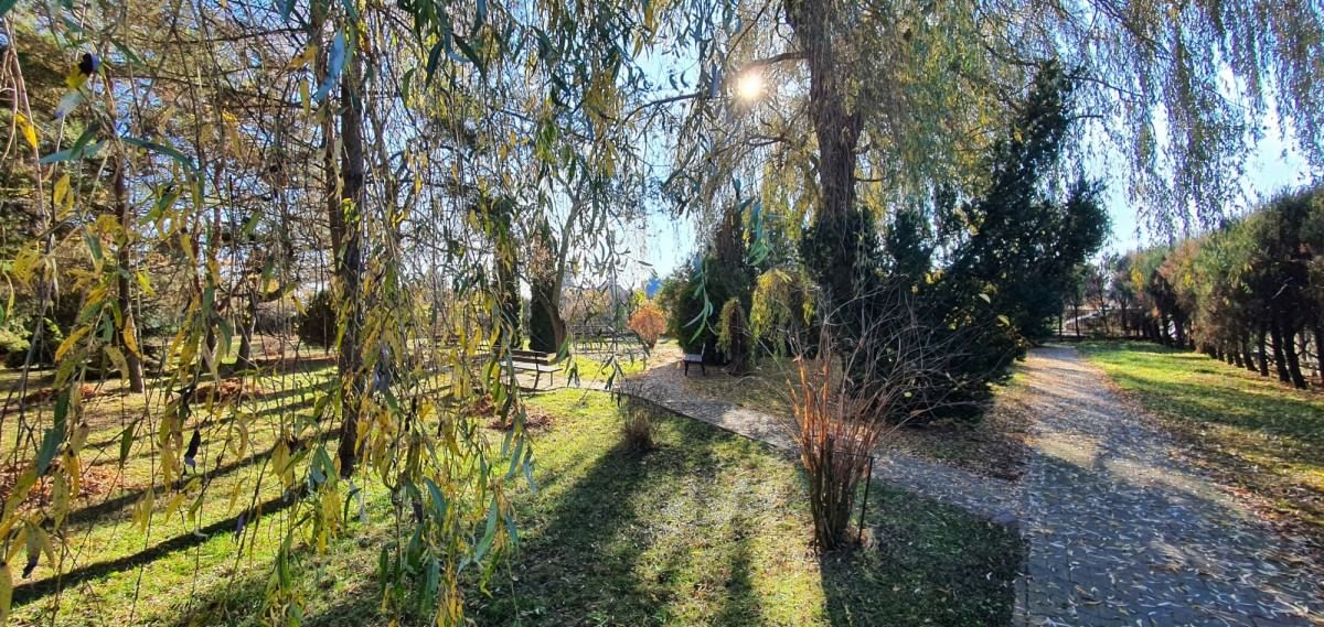 Lokal użytkowy  pokojowe na Sprzedaż