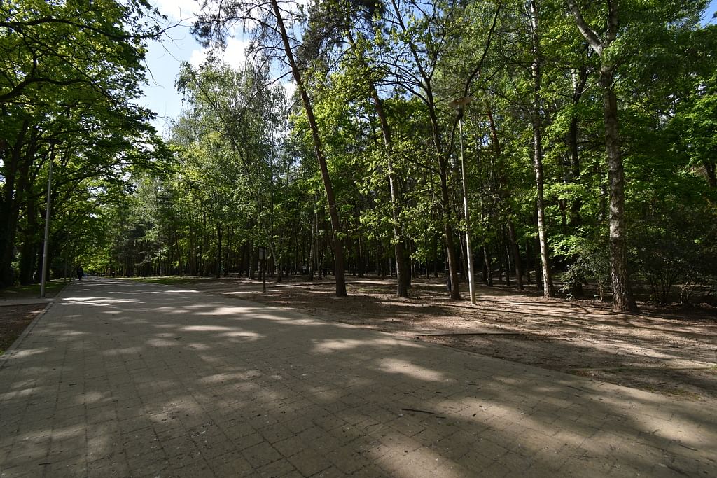 Mieszkanie 3 pokojowe na Wynajem