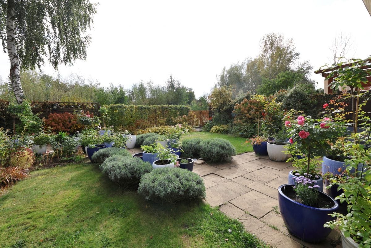 Dom 6 pokojowe na Sprzedaż