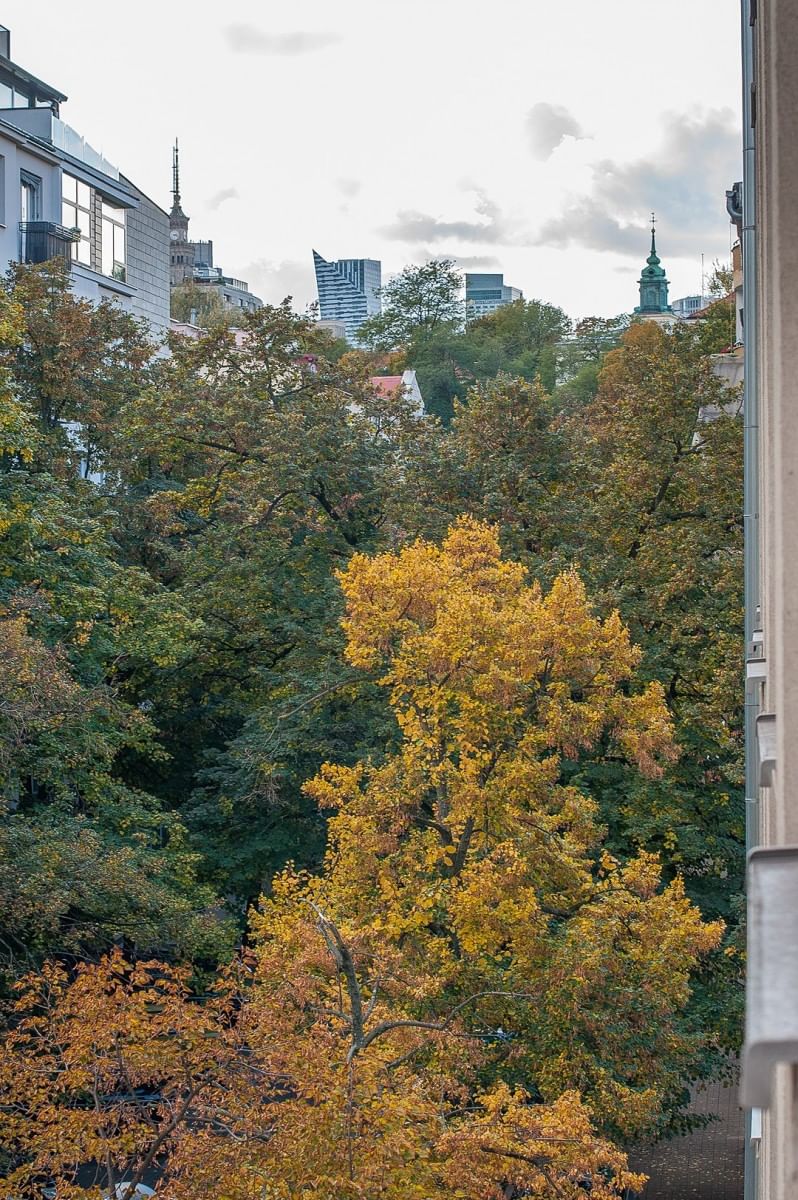 Mieszkanie 3 pokojowe na Wynajem
