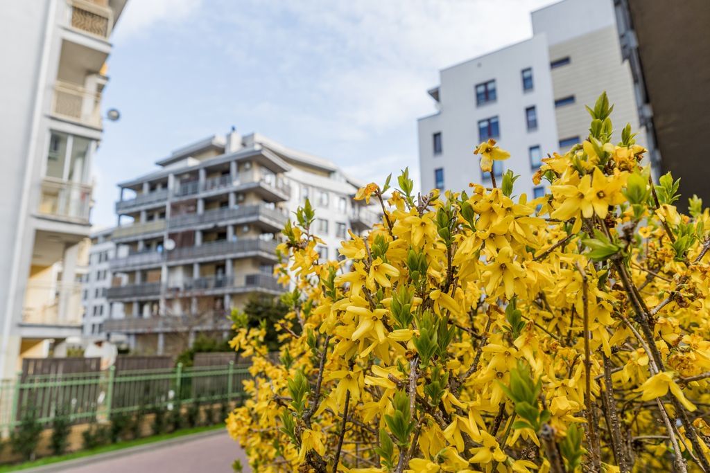 Mieszkanie 5 pokojowe na Sprzedaż