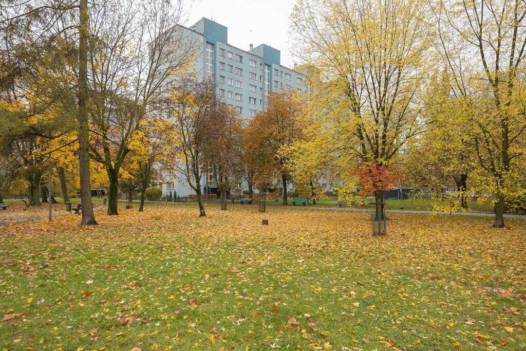 Mieszkanie 3 pokojowe na Sprzedaż