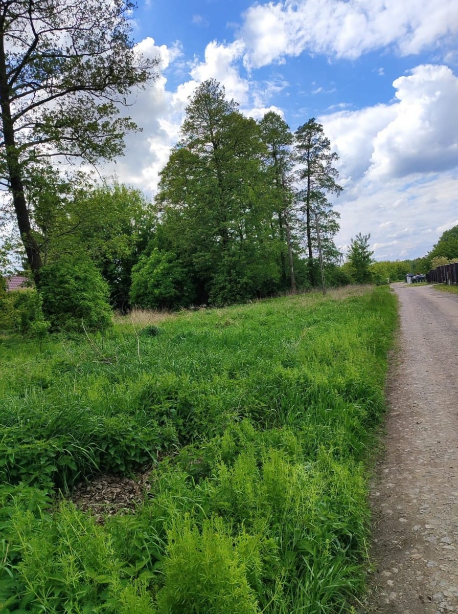 Działka  pokojowe na Sprzedaż