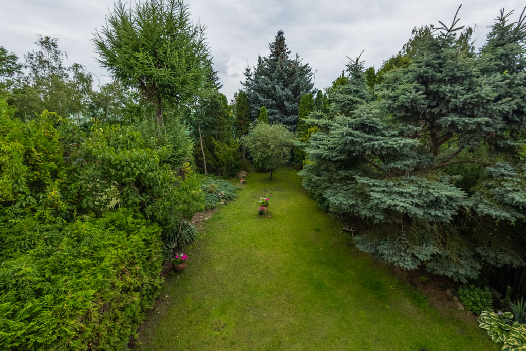 Dom 6 pokojowe na Sprzedaż