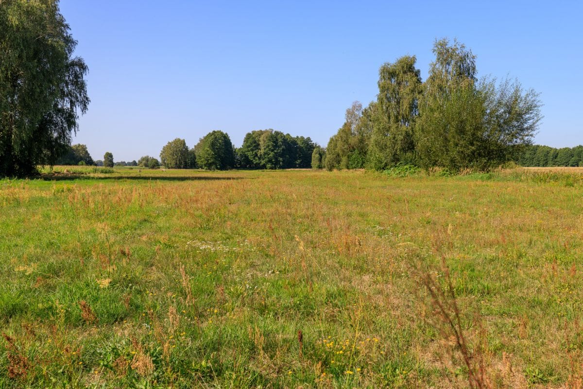 Dom 4 pokojowe na Sprzedaż