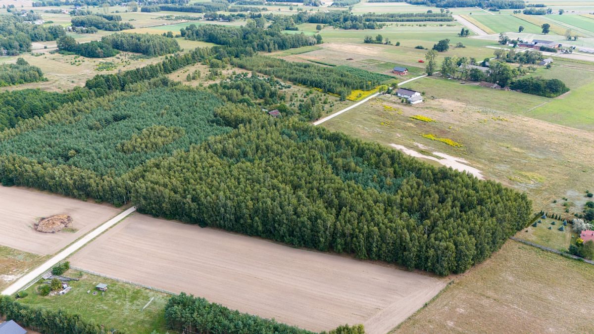 Działka  pokojowe na Sprzedaż