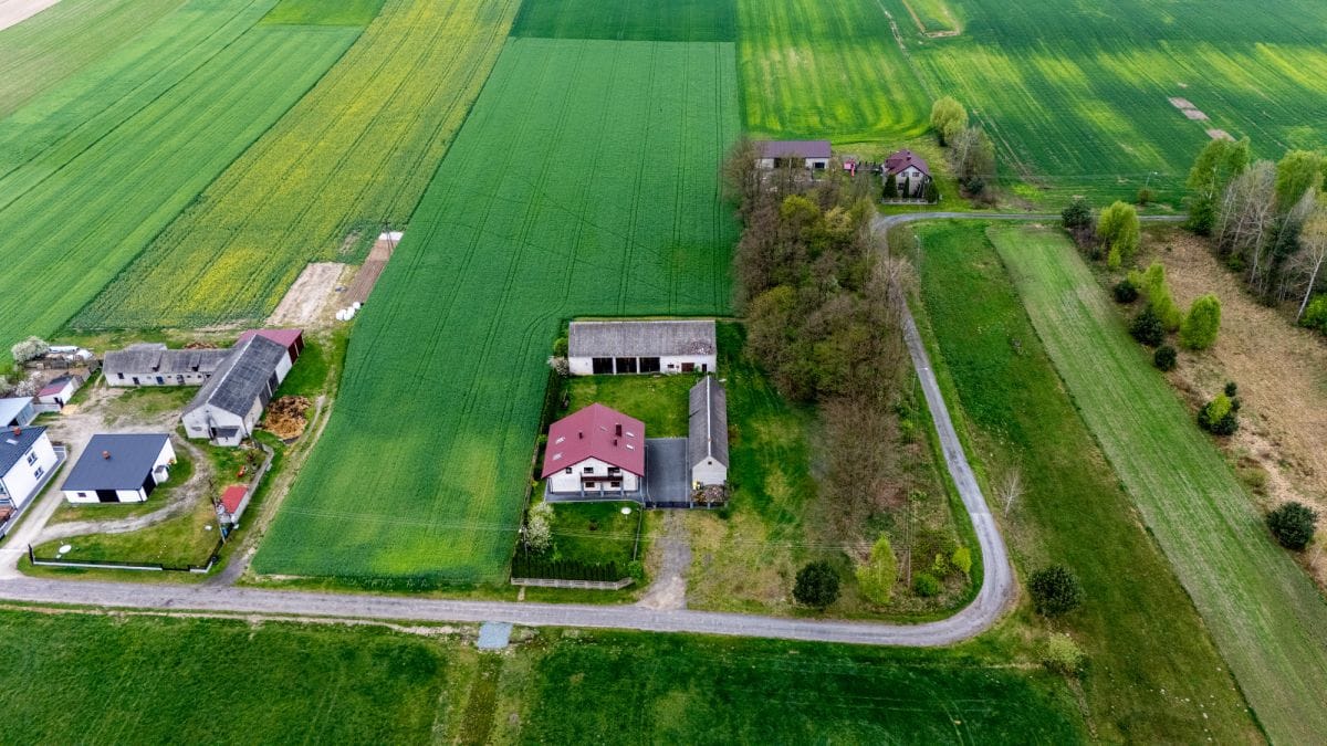 Dom 5 pokojowe na Sprzedaż
