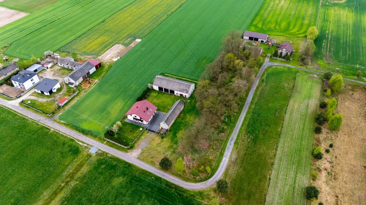 Dom 5 pokojowe na Sprzedaż