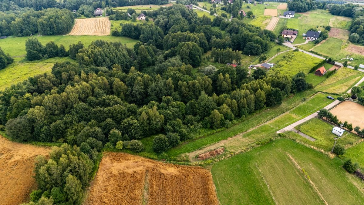 Działka  pokojowe na Sprzedaż