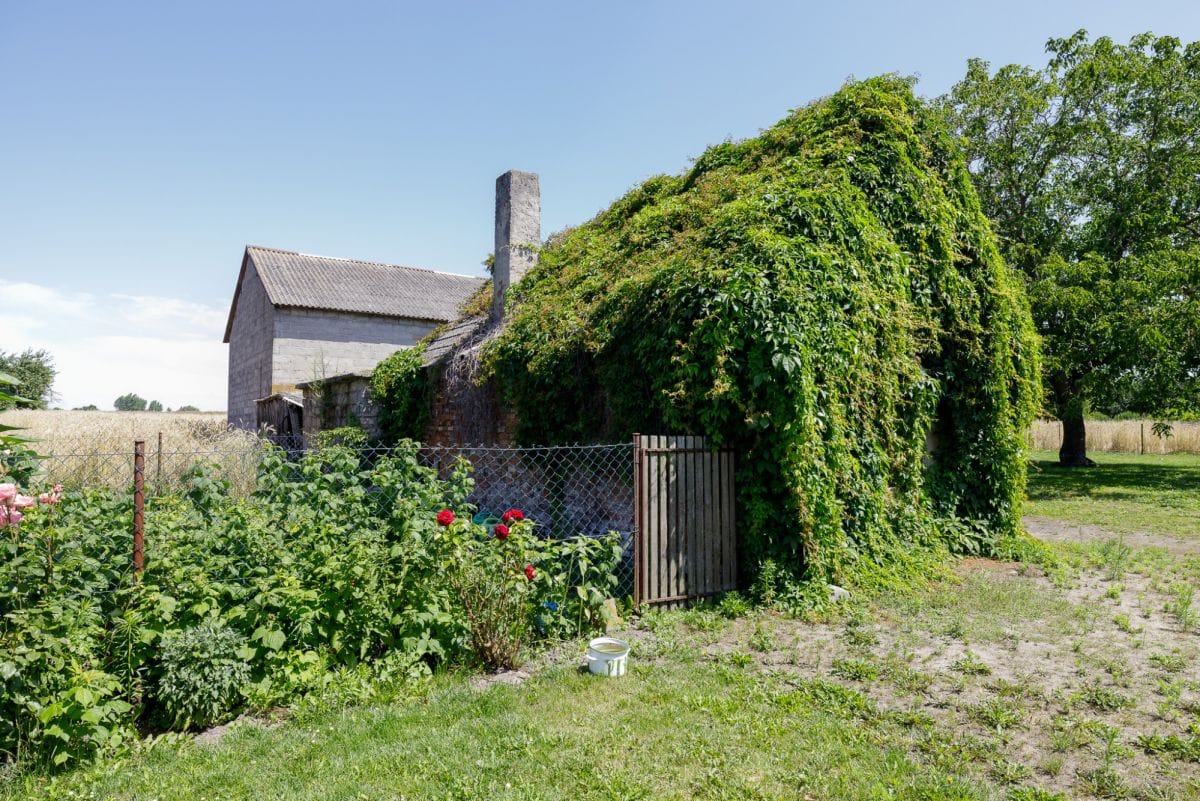 Dom 3 pokojowe na Sprzedaż