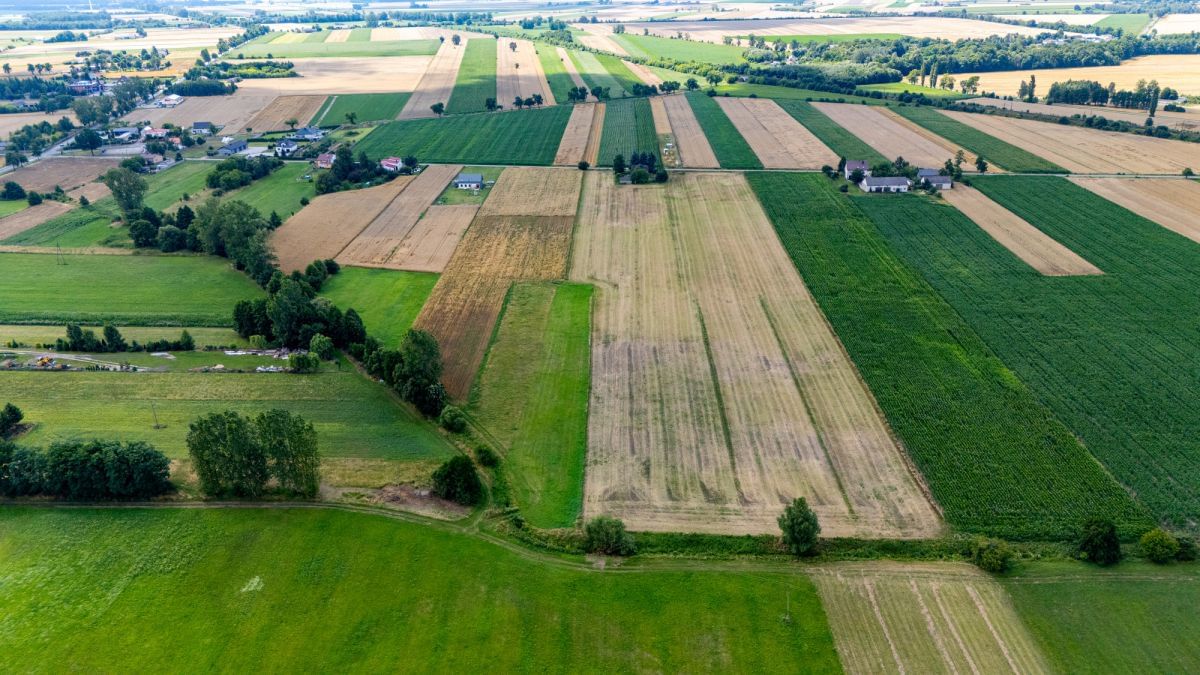 Działka  pokojowe na Sprzedaż