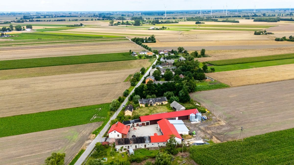 Dom 4 pokojowe na Sprzedaż