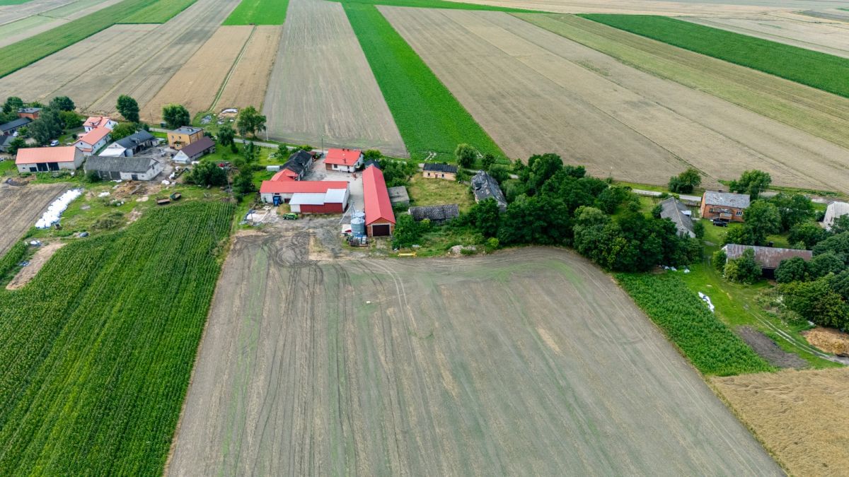 Dom 4 pokojowe na Sprzedaż