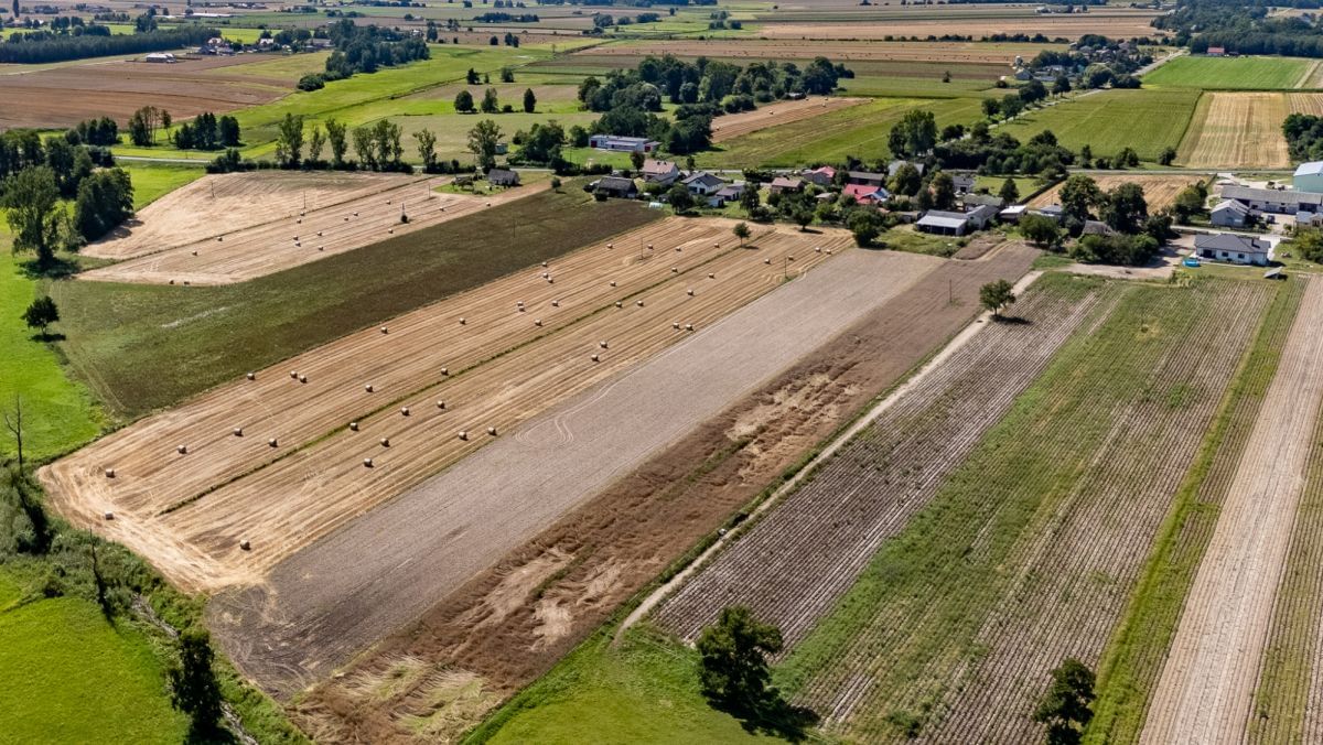 Dom 4 pokojowe na Sprzedaż