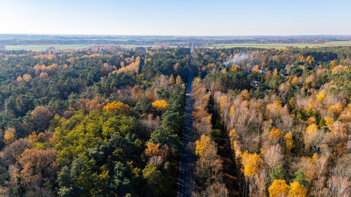 Dom 3 pokojowe na Sprzedaż