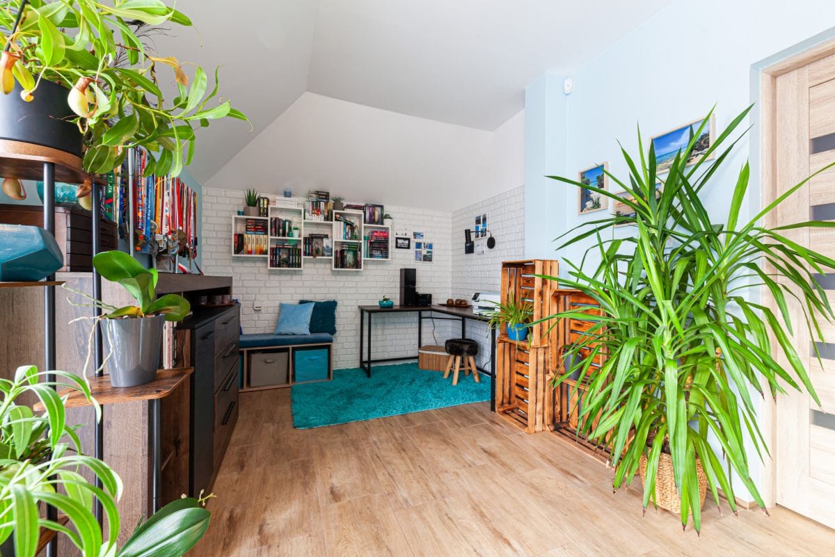 Dom 4 pokojowe na Sprzedaż