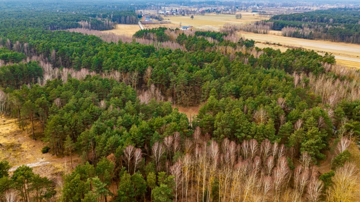 Działka  pokojowe na Sprzedaż