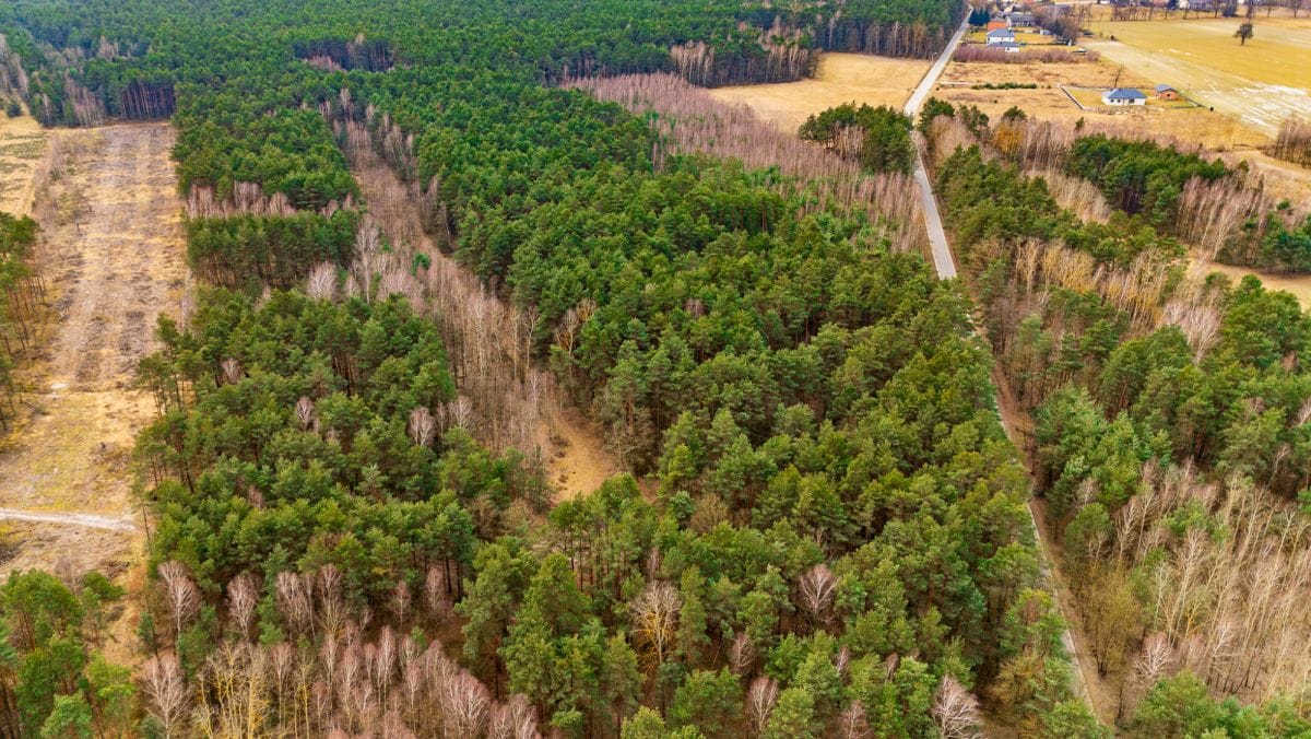 Działka  pokojowe na Sprzedaż