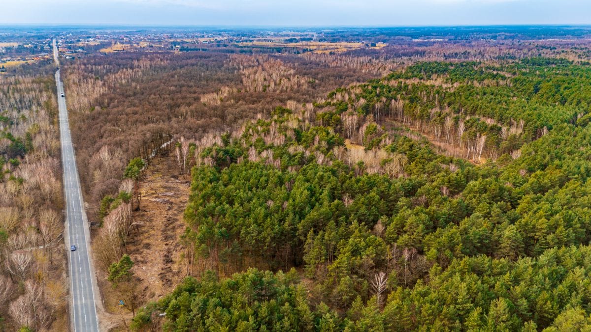 Działka  pokojowe na Sprzedaż
