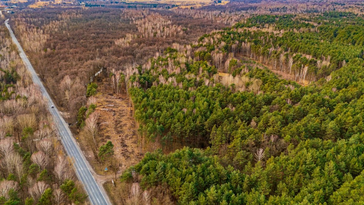 Działka  pokojowe na Sprzedaż