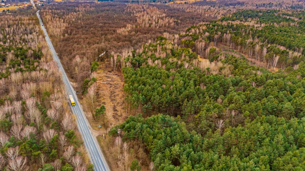 Działka  pokojowe na Sprzedaż