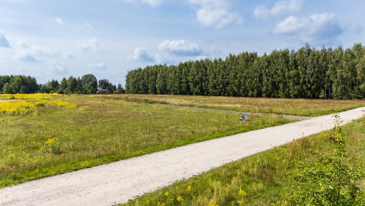 Działka  pokojowe na Sprzedaż