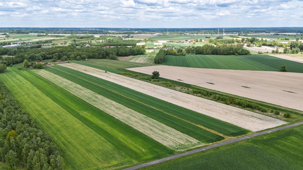 Działka  pokojowe na Sprzedaż
