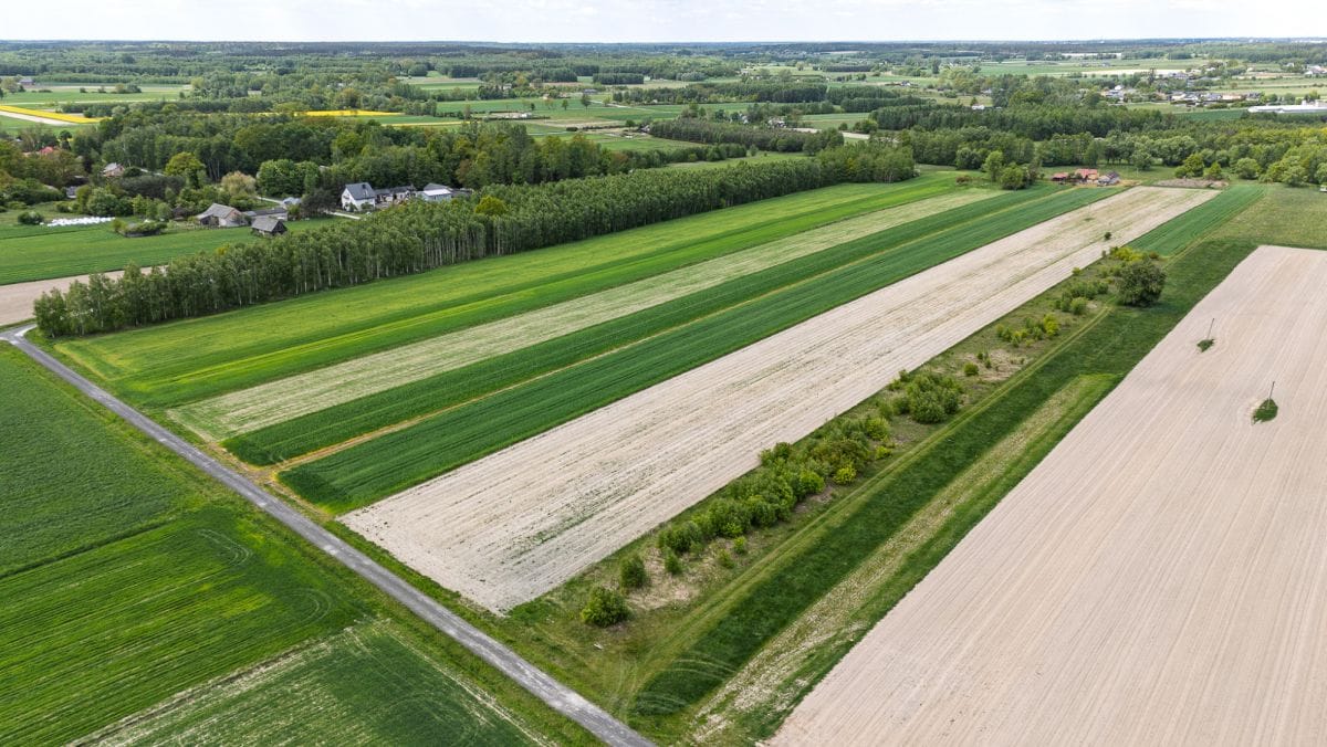 Działka  pokojowe na Sprzedaż