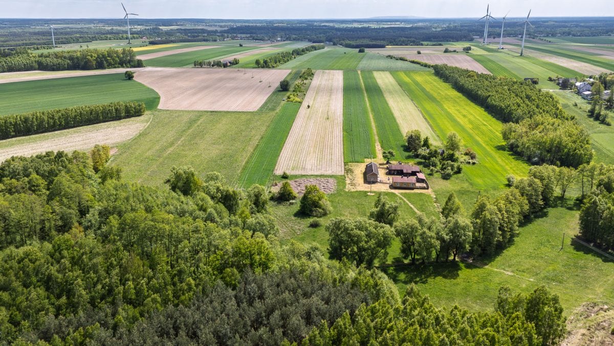 Działka  pokojowe na Sprzedaż