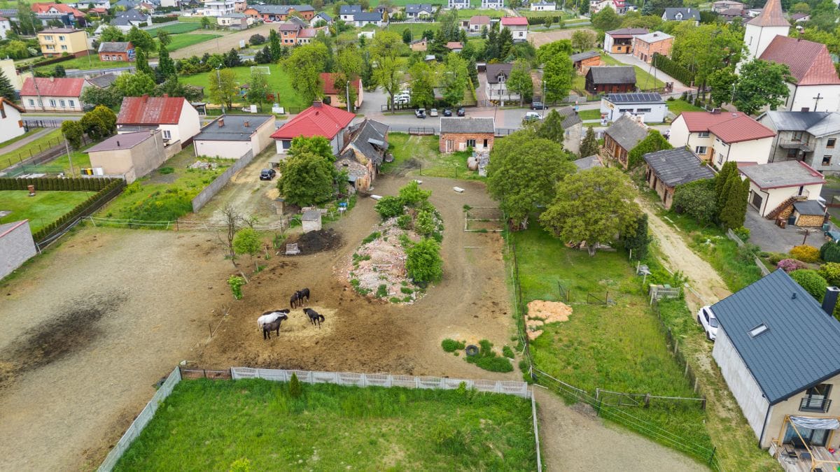 Dom 1 pokojowe na Sprzedaż
