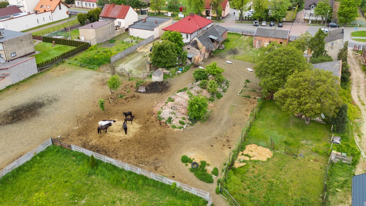 Dom 1 pokojowe na Sprzedaż