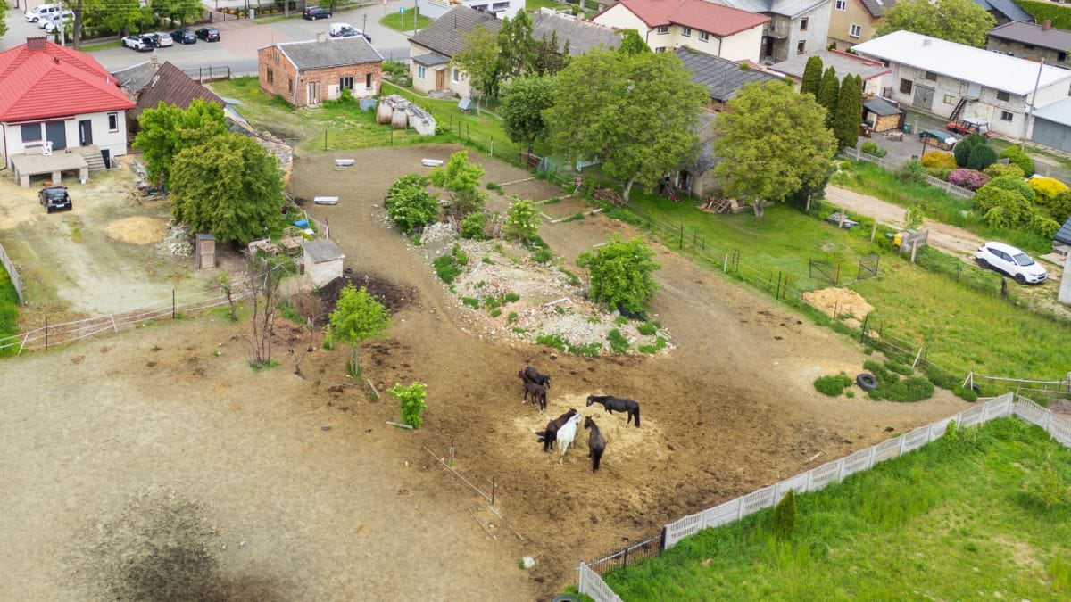 Dom 1 pokojowe na Sprzedaż