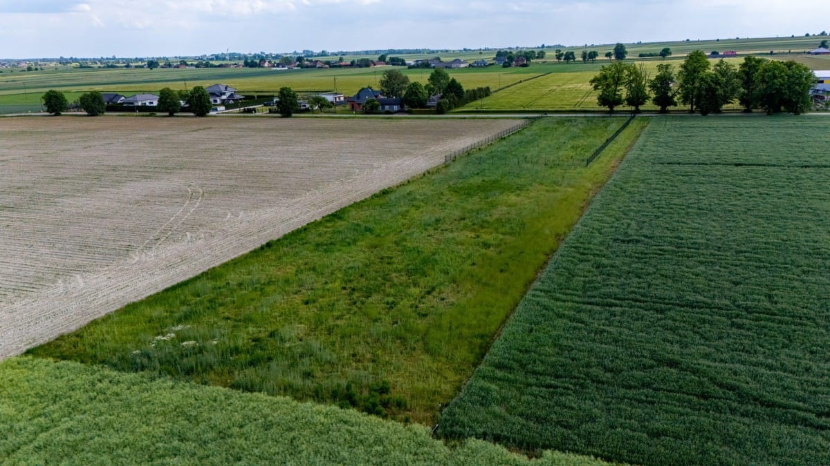 Działka  pokojowe na Sprzedaż