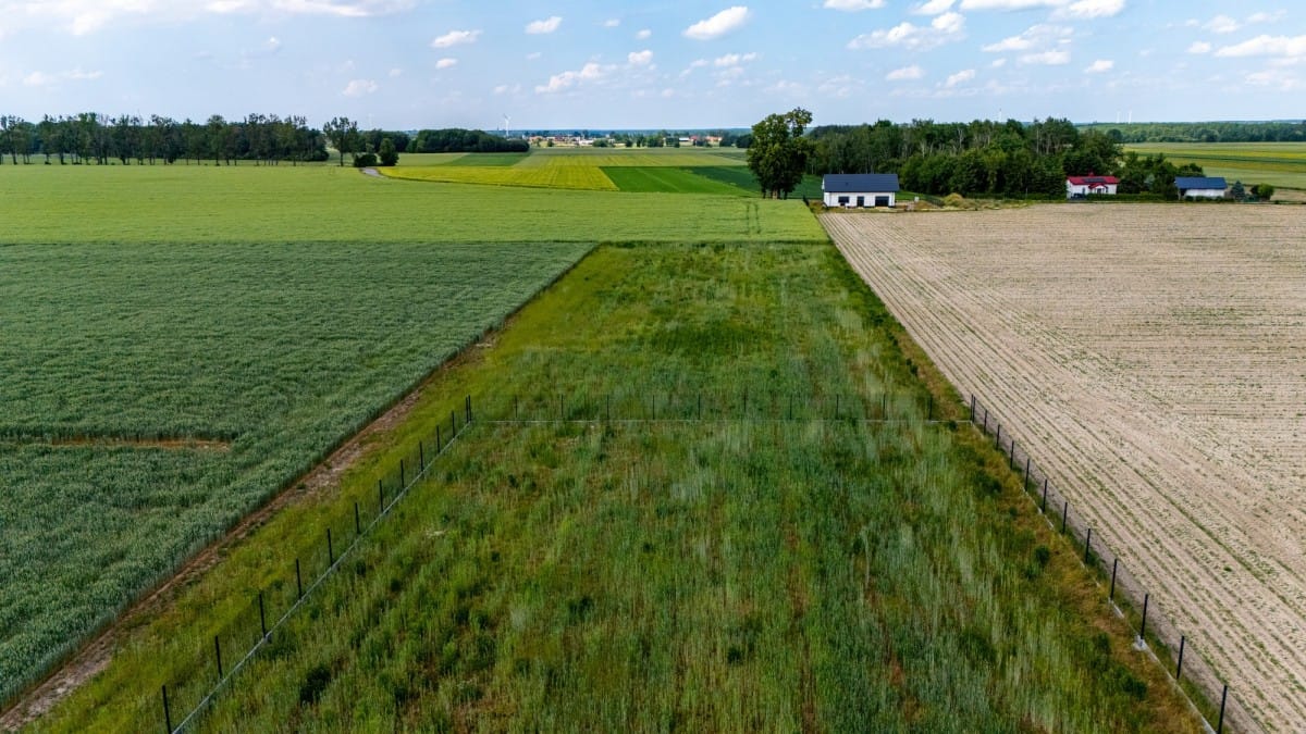 Działka  pokojowe na Sprzedaż