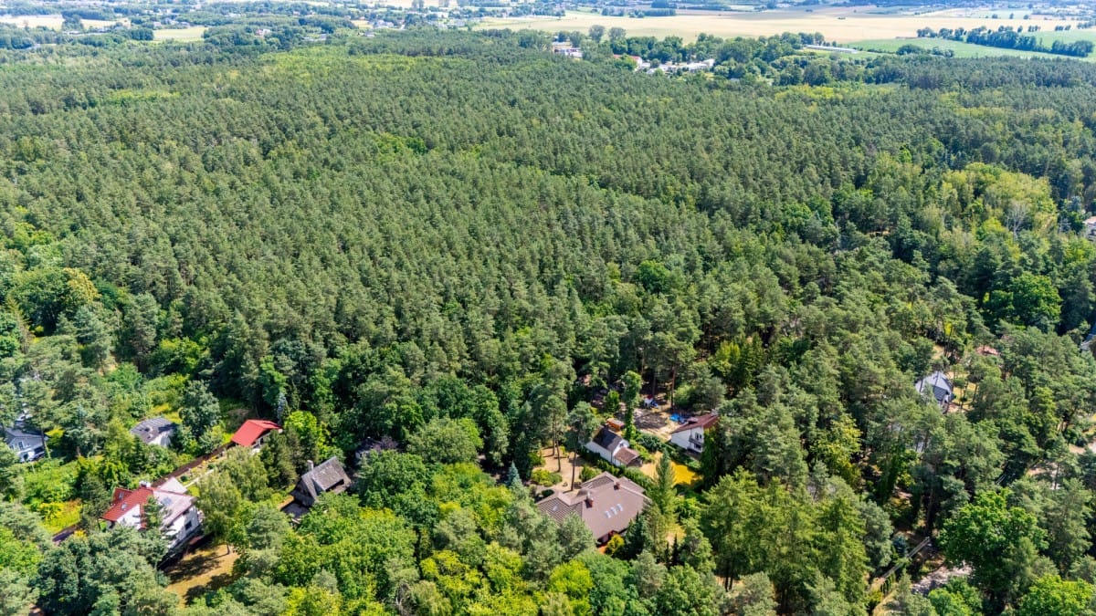 Dom 3 pokojowe na Sprzedaż
