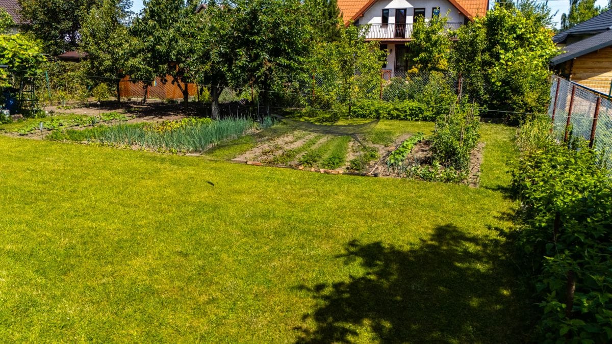 Dom 5 pokojowe na Sprzedaż