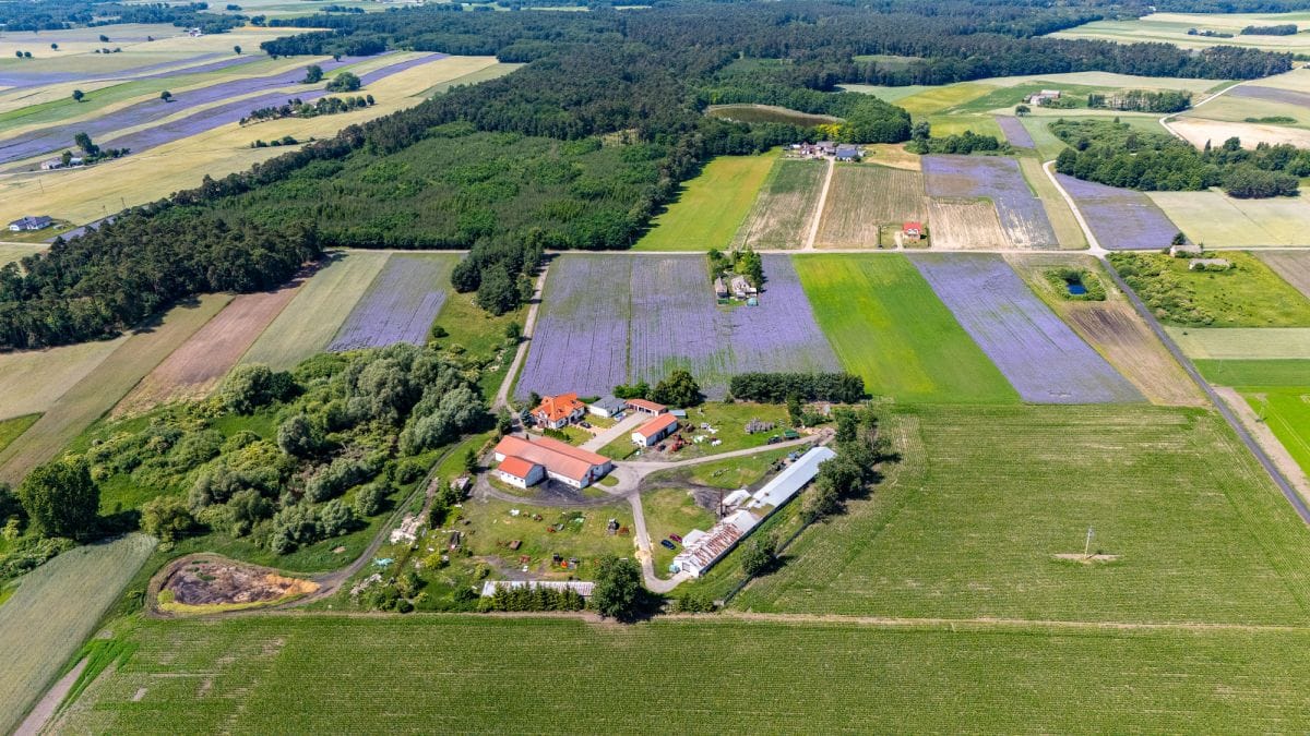 Działka  pokojowe na Sprzedaż
