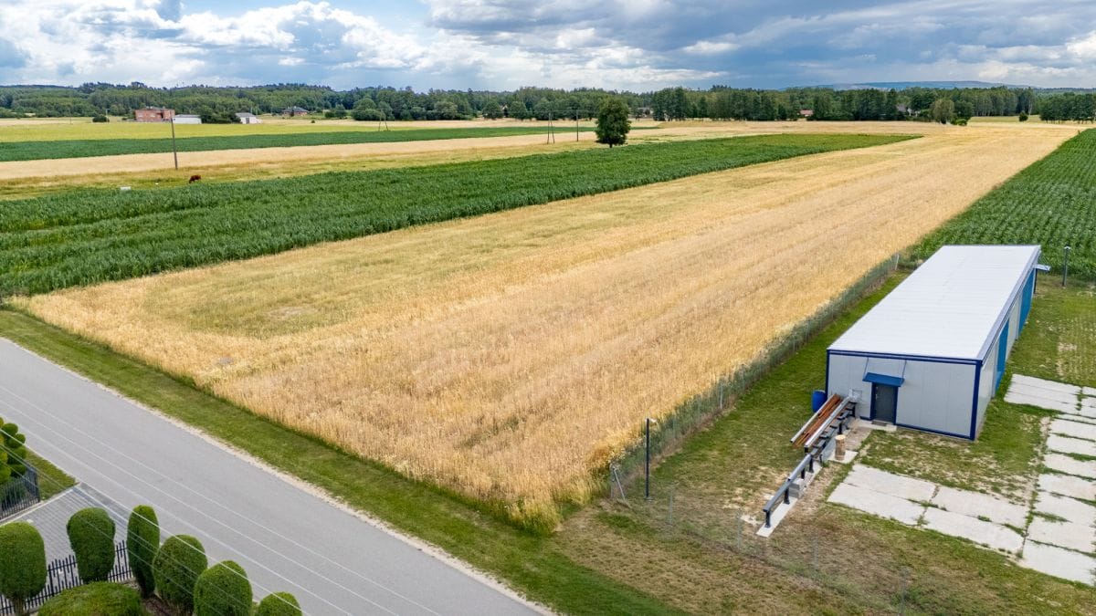 Działka  pokojowe na Sprzedaż