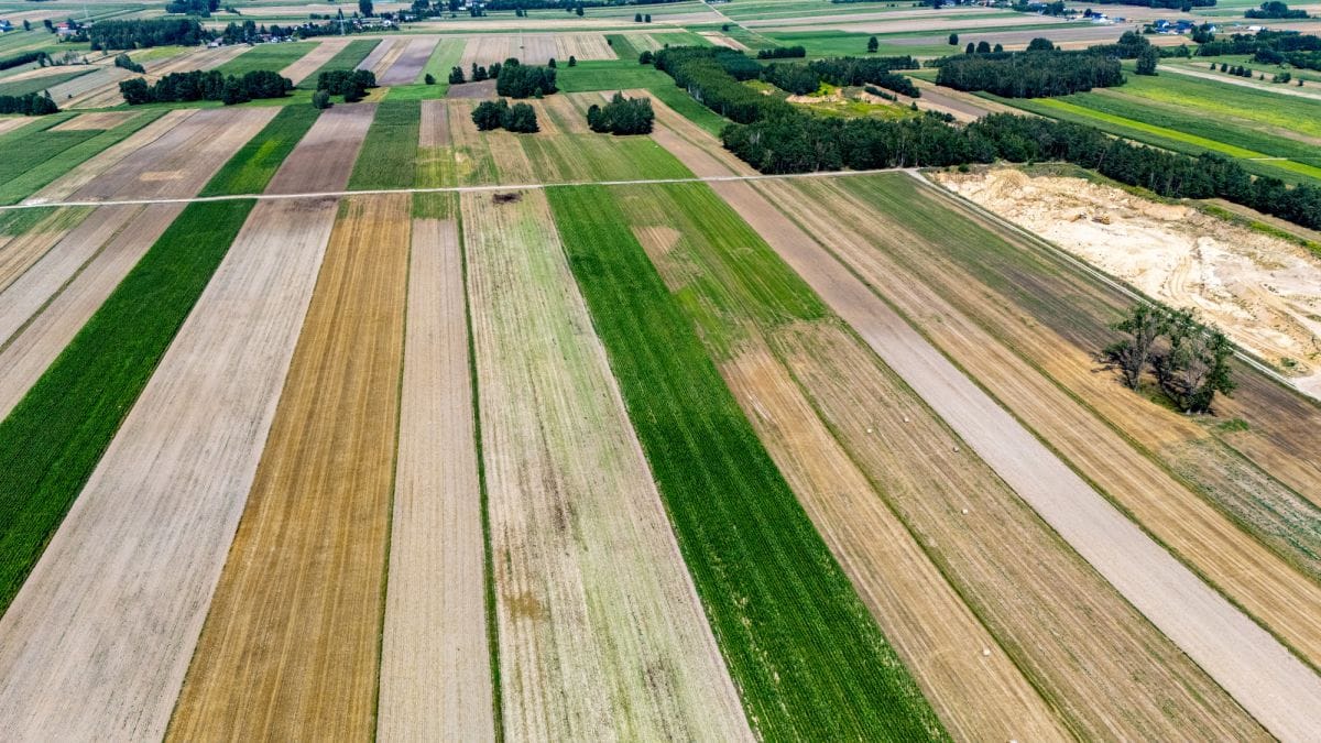 Działka  pokojowe na Sprzedaż