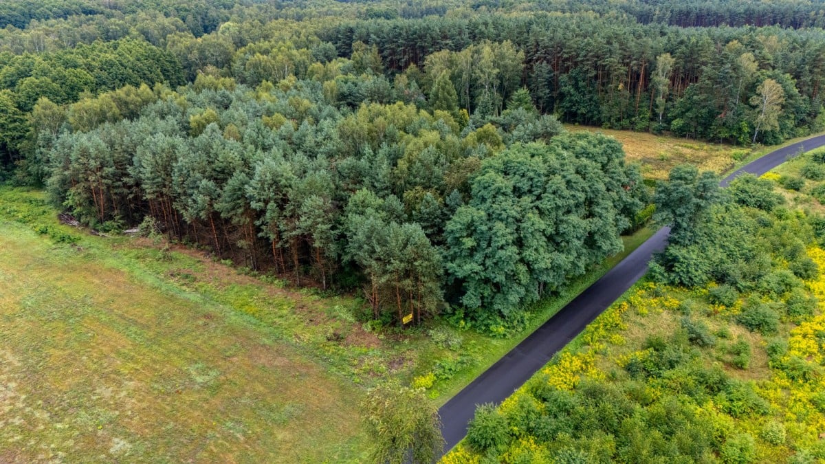 Działka  pokojowe na Sprzedaż