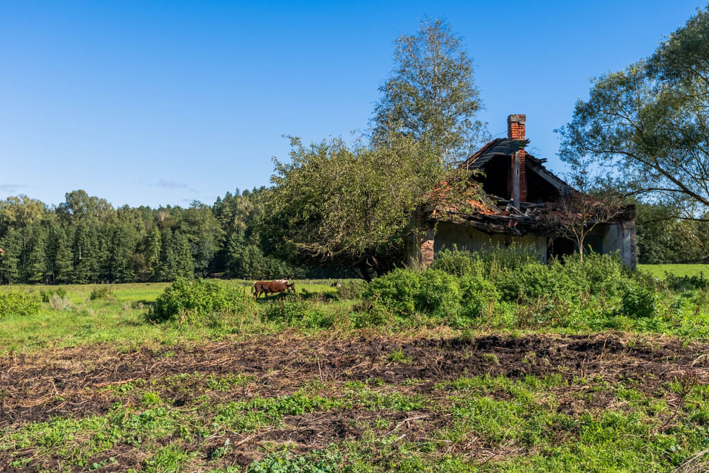 Działka  pokojowe na Sprzedaż