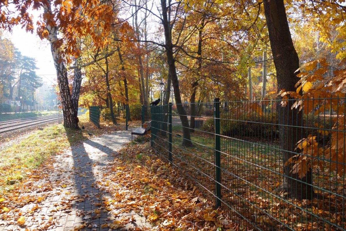 Dom 12 pokojowe na Sprzedaż