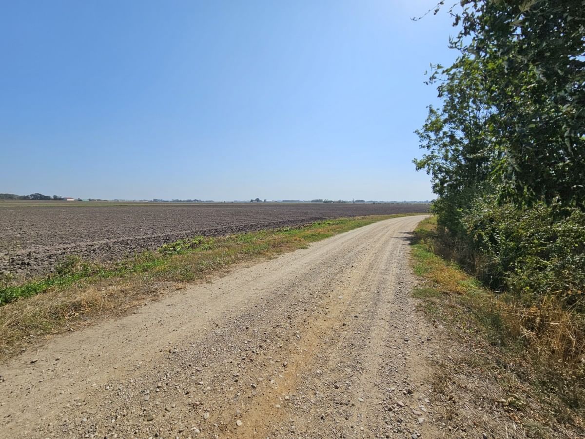 Lokal użytkowy  pokojowe na Sprzedaż