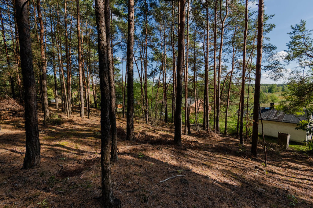 Działka  pokojowe na Sprzedaż