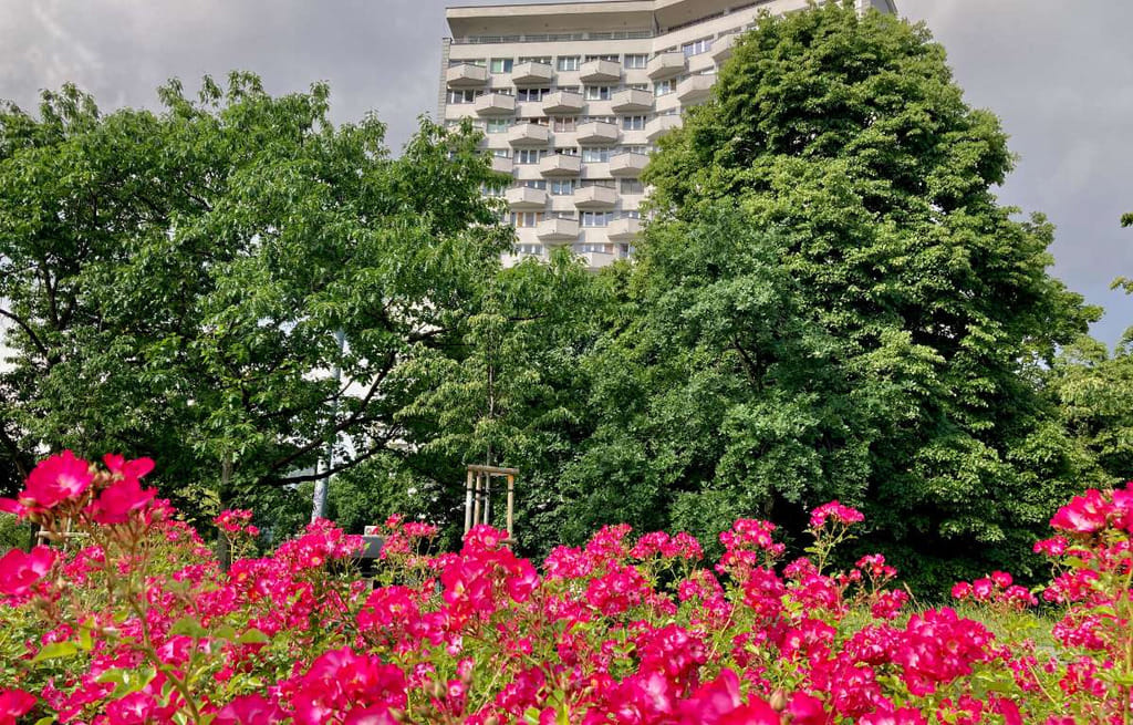 Mieszkanie 2 pokojowe na Wynajem